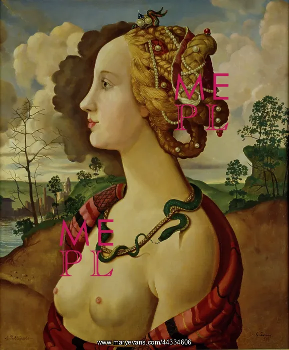 : A Copy of the so-called Portrait of Simonetta Vespucci : A Copy of the so-called Portrait of Simonetta Vespucci