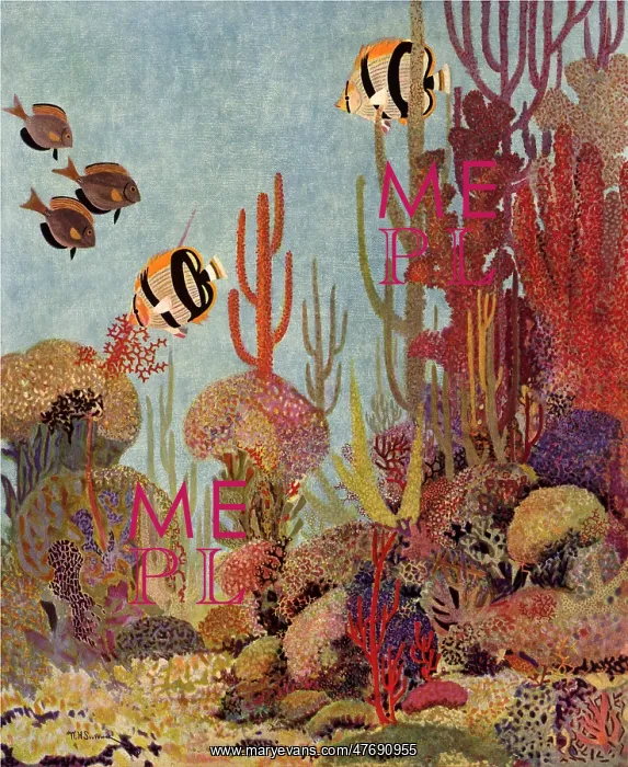 : Coral and Fish : Coral and Fish