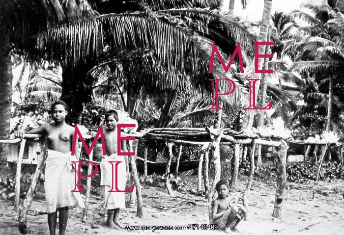 : Coral gatherers, Samoa, Victorian period : Coral gatherers, Samoa, Victorian period