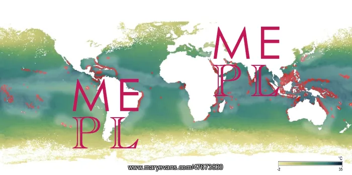 : Coral Reef Bleaching Map : Coral Reef Bleaching Map