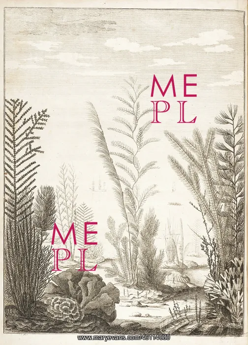 : Corals, with ships / boats in background : Corals, with ships / boats in background
