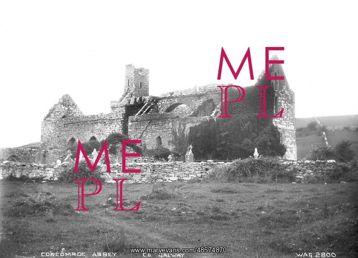 : Corcomroe Abbey, Co. Galway : Corcomroe Abbey, Co. Galway