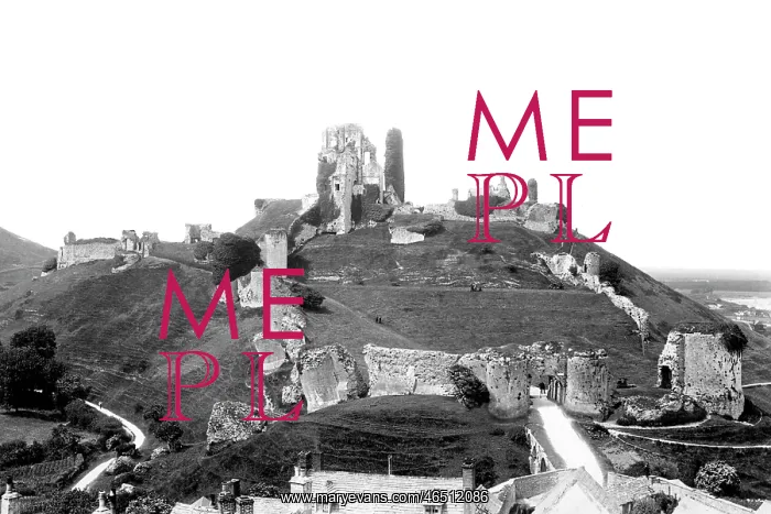  : Corfe Castle, from the Church Tower 1890