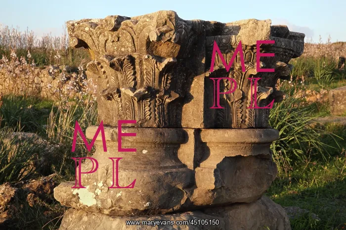 : Corinthian capitals, Volubilis, Meknes-Tafilalet, Morocco : Corinthian capitals, Volubilis, Meknes-Tafilalet, Morocco