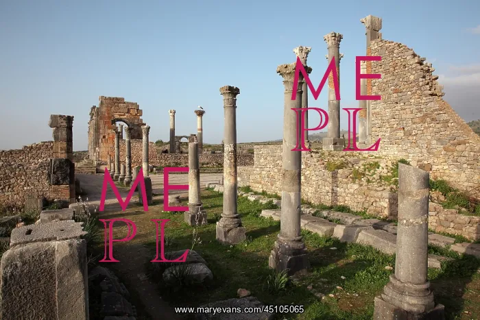 : Corinthian colonnade, Volubilis, Meknes-Tafilalet, Morocco : Corinthian colonnade, Volubilis, Meknes-Tafilalet, Morocco