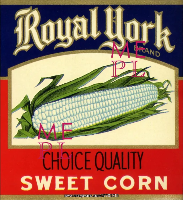  : Corn