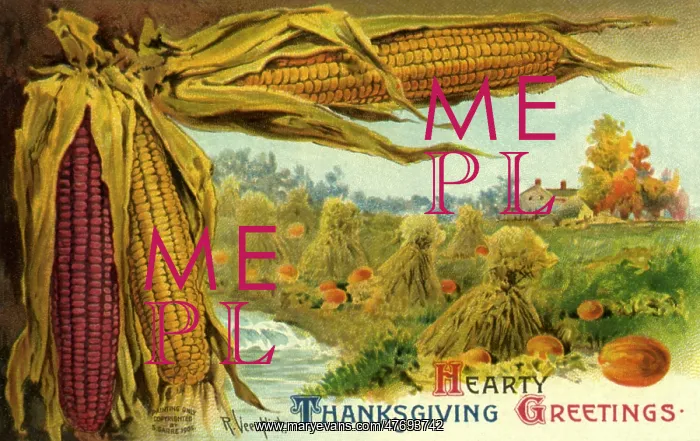  : Corn, Hay and Pumpkins