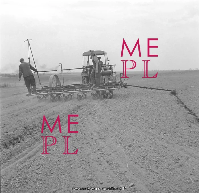 : Corn planting - field - Agricultural Cooperative : Corn planting - field - Agricultural Cooperative