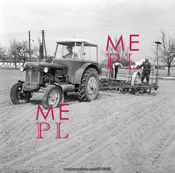 : Corn planting - field - Agricultural Cooperative : Corn planting - field - Agricultural Cooperative