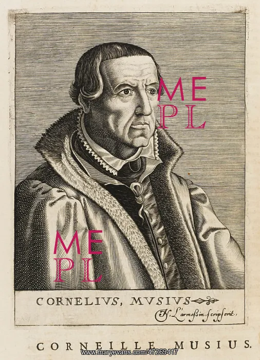 : CORNELIS MUYS / MUSIUS : CORNELIS MUYS / MUSIUS