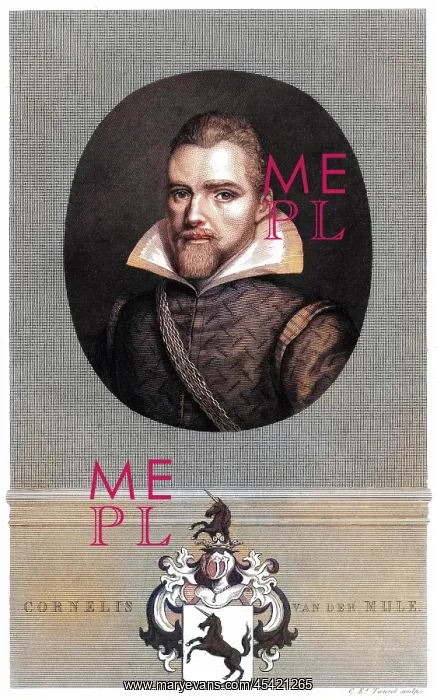  : CORNELIS VAN DER MIJLE