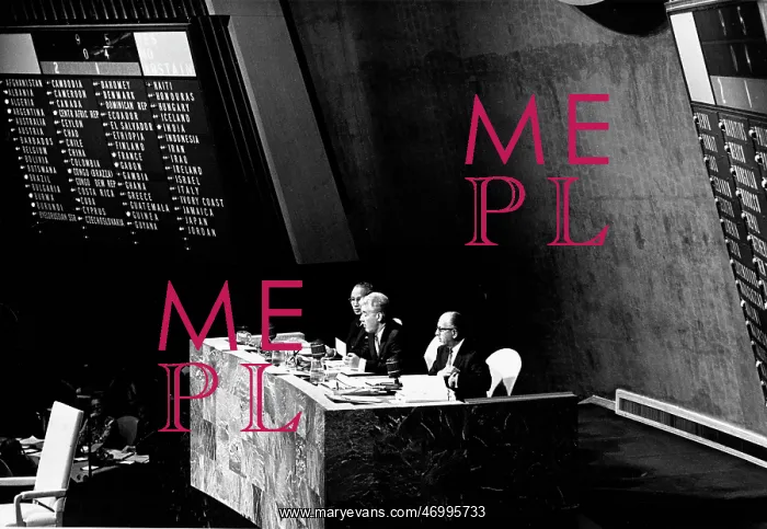 : Corneliu Manescu at a conference : Corneliu Manescu at a conference