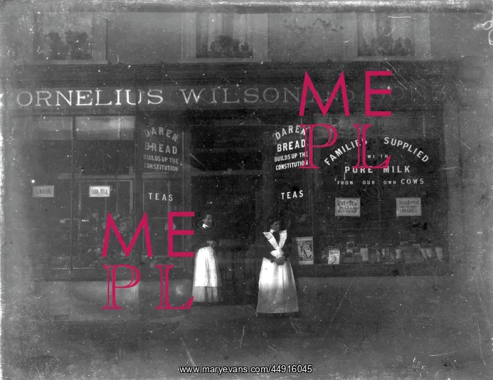 : Cornelius Wilson and son Bakers 80 / 82? Broadway : Cornelius Wilson and son Bakers 80 / 82? Broadway