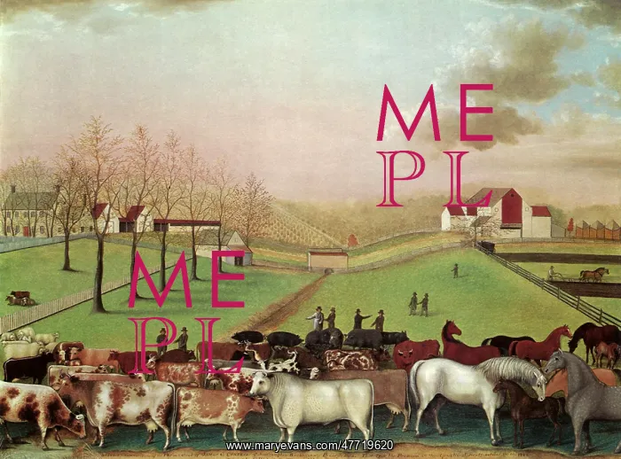 : The Cornell Farm