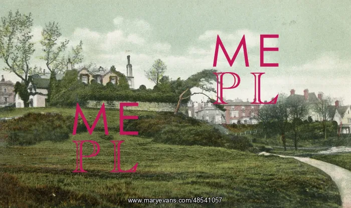 : A corner of the Common, Tunbridge Wells, Kent