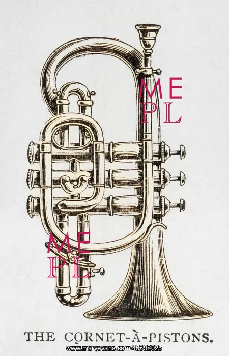 : Cornet on its Own : Cornet on its Own