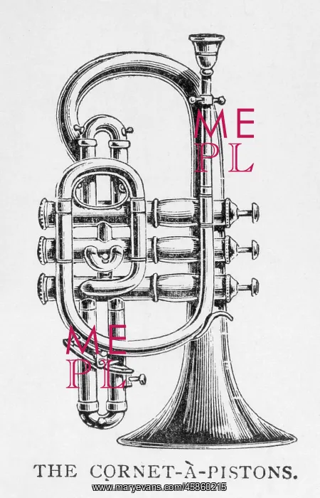 : Cornet on its Own : Cornet on its Own