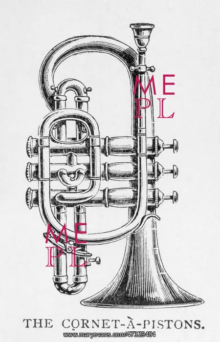 : Cornet on its Own : Cornet on its Own