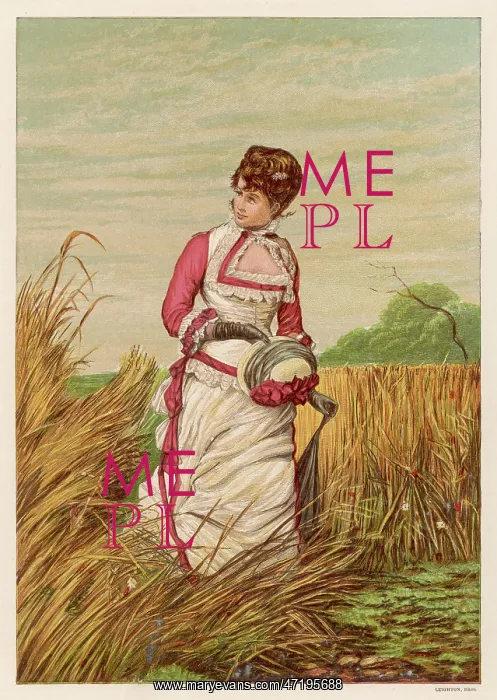 : IN THE CORNFIELDS 1881 : IN THE CORNFIELDS 1881
