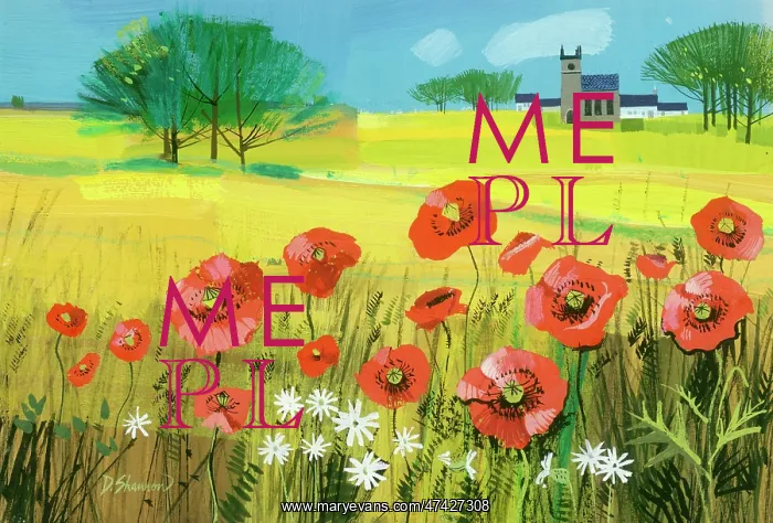  : Cornfields with Poppies