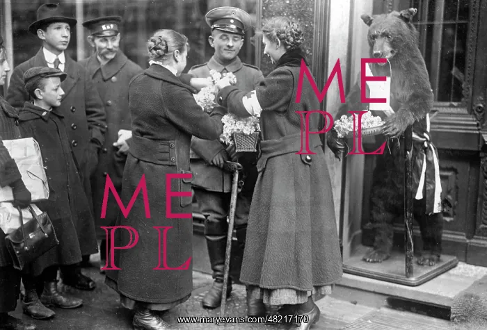 : Cornflower Day in Berlin, 1916 : Cornflower Day in Berlin, 1916