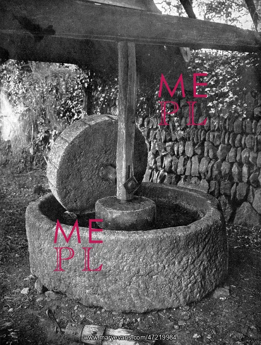  : CORNISH CIDER MILL