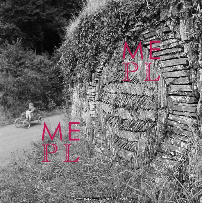 : Cornish dry stone wall : Cornish dry stone wall