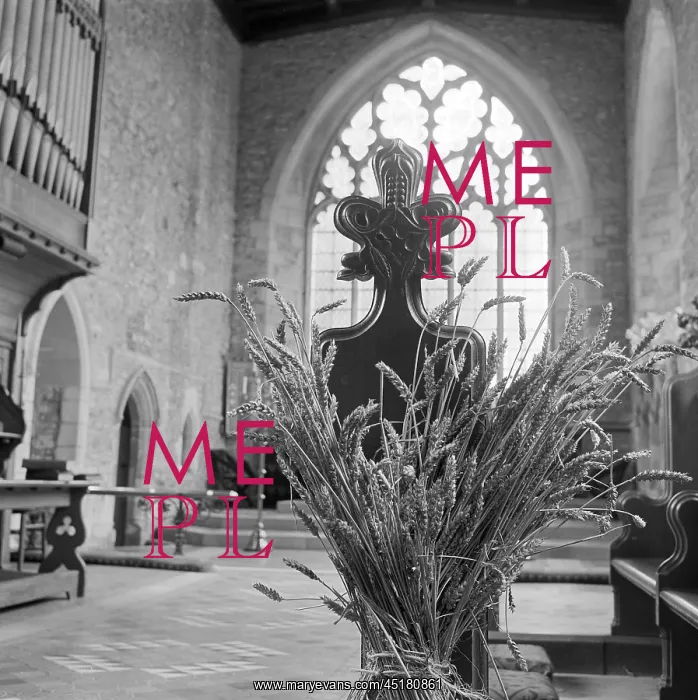 : Cornsheaf In Church : Cornsheaf In Church