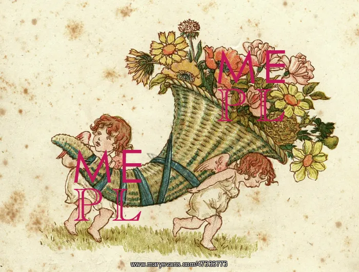  : Cornucopia