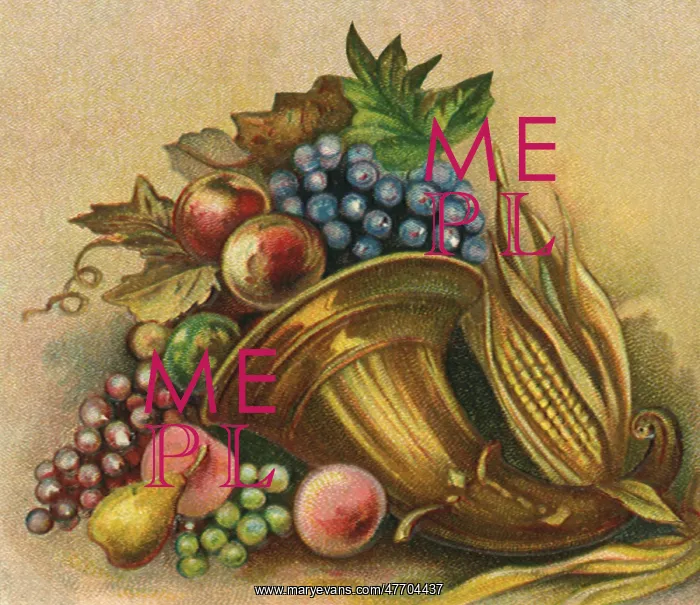 : Cornucopia with Fruit Spilling Out : Cornucopia with Fruit Spilling Out