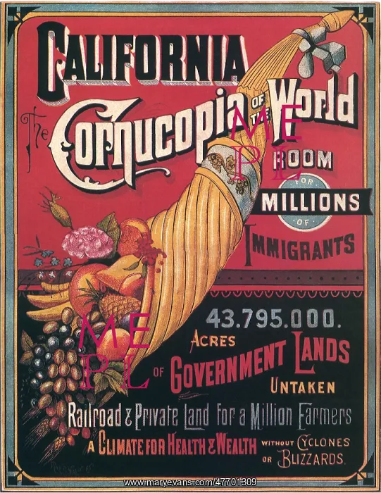 : Cornucopia Poster : Cornucopia Poster