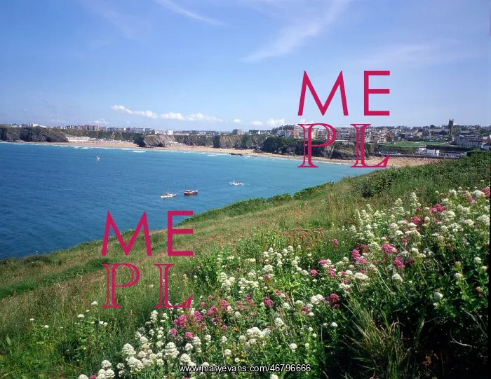 : Cornwall, England - Newquay : Cornwall, England - Newquay