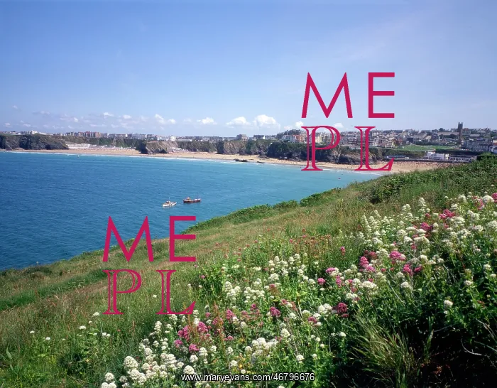 : Cornwall, England - Newquay : Cornwall, England - Newquay