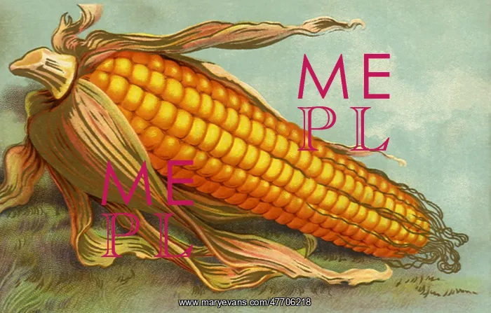  : Corny Thanksgiving