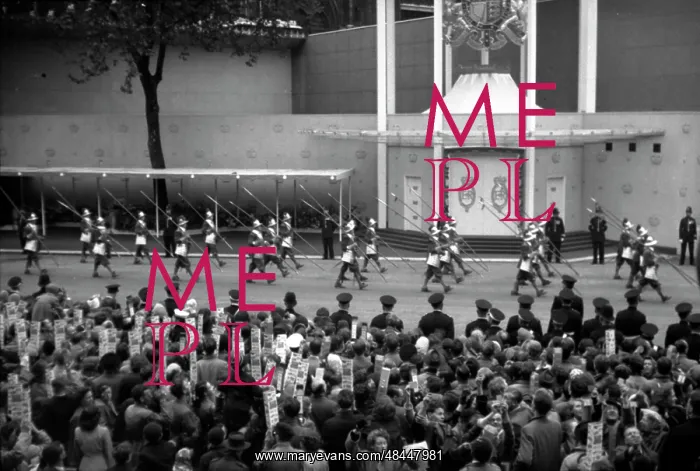 : Coronation. The main column of Pikemen : Coronation. The main column of Pikemen