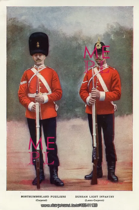  : Corporals, Northumberland Fusiliers, Durham Light Infantry
