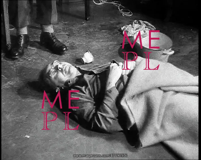 : The Corpse Of Reichsfuhrer of the Schutzstaffel : The Corpse Of Reichsfuhrer of the Schutzstaffel