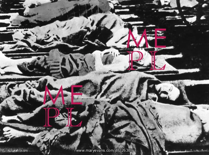 : Corpses in Auschwitz : Corpses in Auschwitz