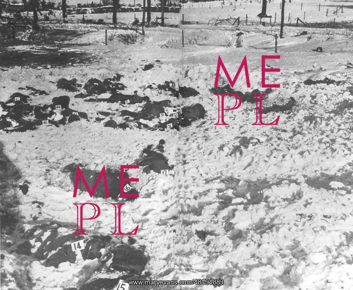 : Corpses of executed Americans at Malmedy, 1944 : Corpses of executed Americans at Malmedy, 1944