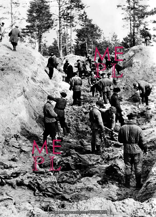 : Corpses of the massacre at Katyn, 1943 : Corpses of the massacre at Katyn, 1943