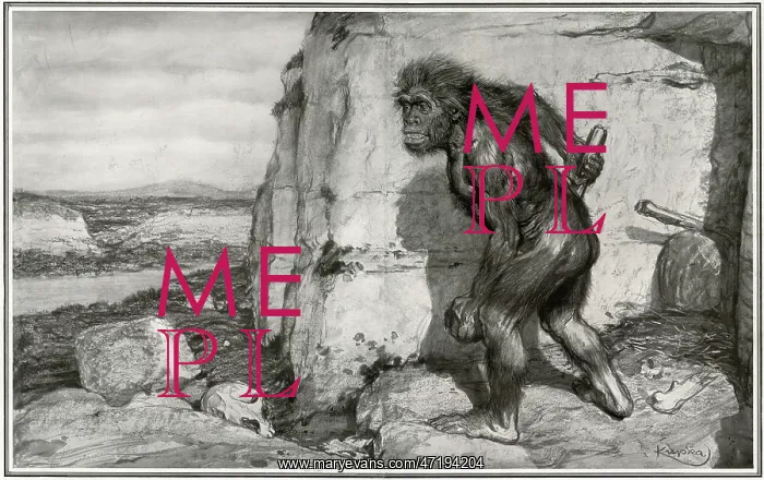 : CORREZE MAN / NEANDERTHAL : CORREZE MAN / NEANDERTHAL