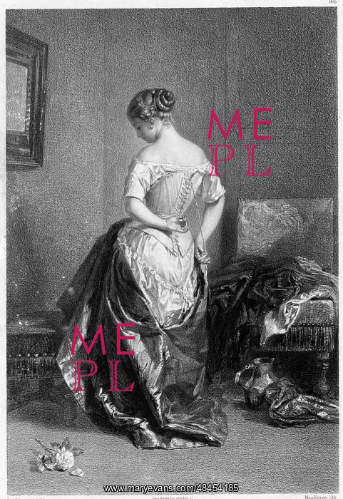 : The Corset : The Corset