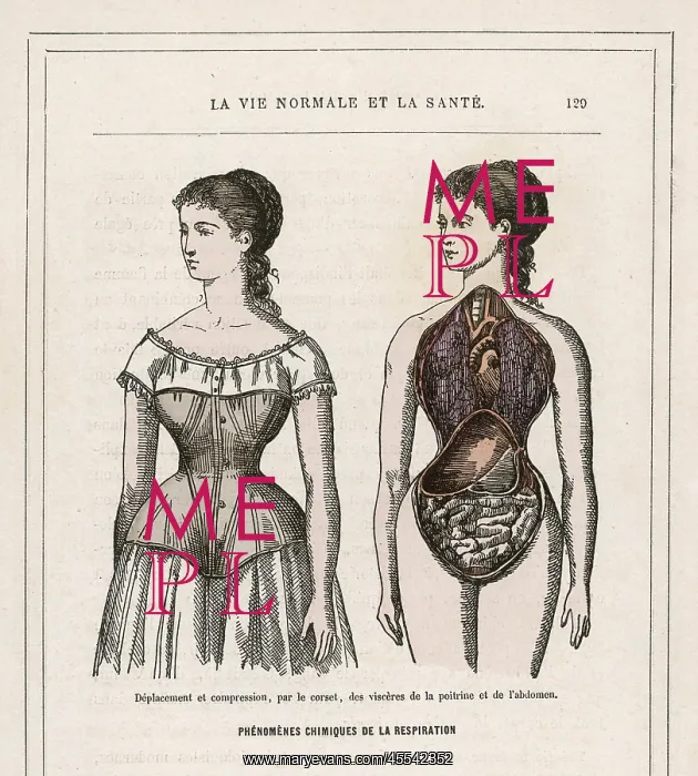  : What Corsets Do