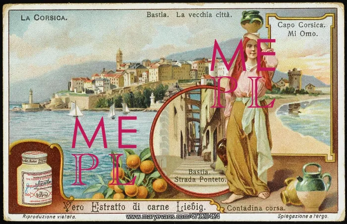  : CORSICA / BASTIA / LIEBIG