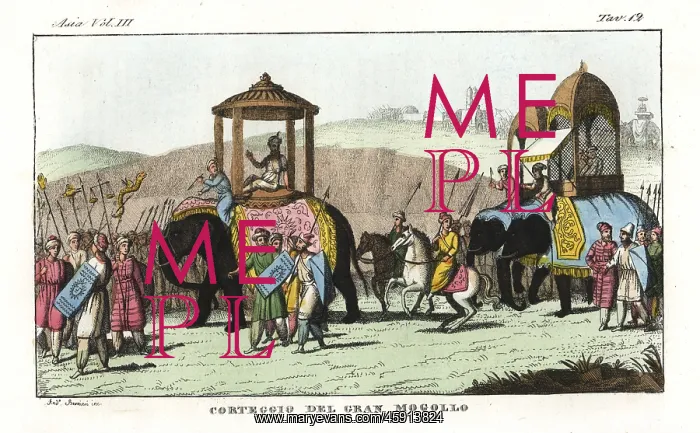 : Cortege of a Mughal ruler in India : Cortege of a Mughal ruler in India