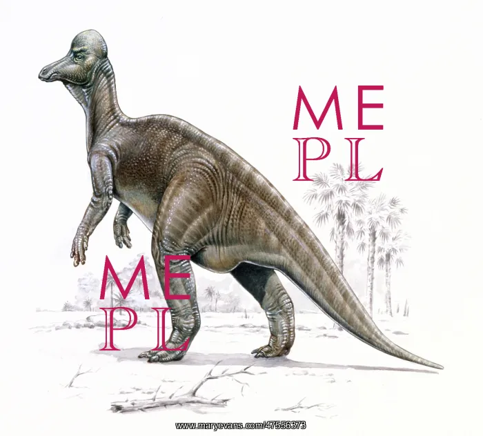 : Corythosaurus : Corythosaurus