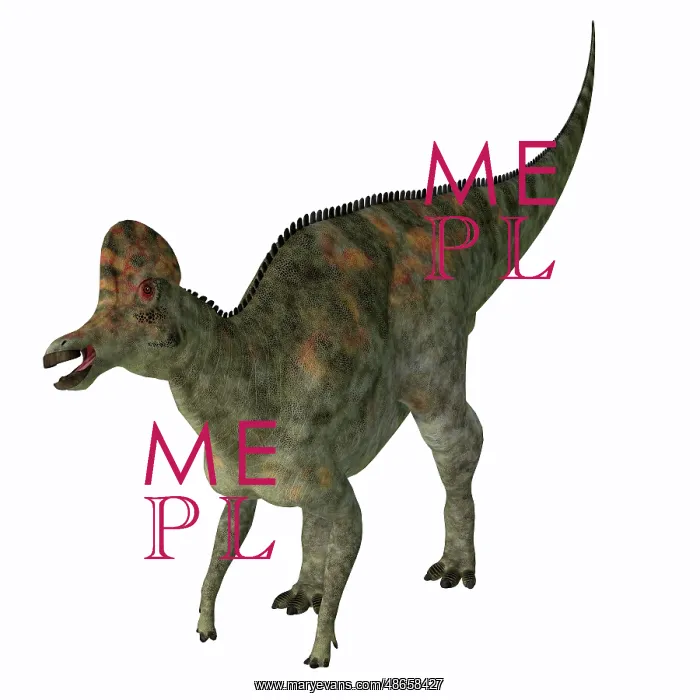 : Corythosaurus dinosaur, white background : Corythosaurus dinosaur, white background