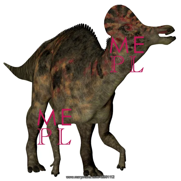 : Corythosaurus duck-billed dinosaur : Corythosaurus duck-billed dinosaur