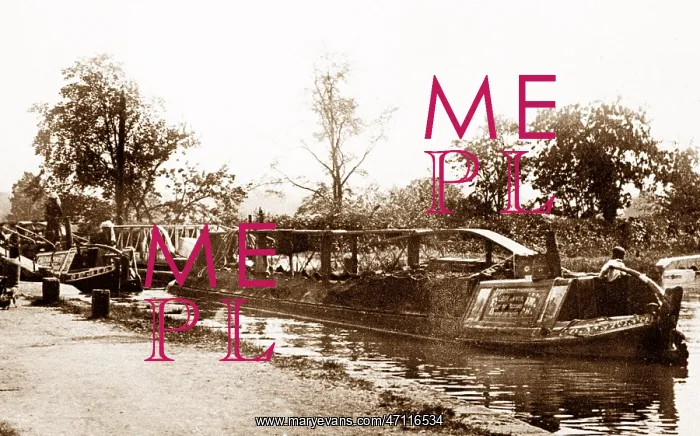  : Cosgrave Locks, Stony Stratford