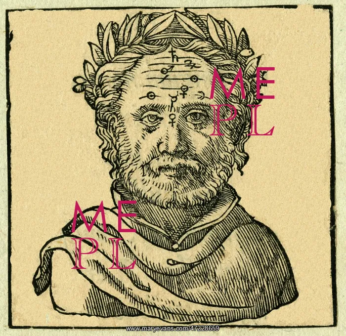 : COSMIC FACIAL LINES : COSMIC FACIAL LINES